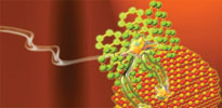 When light is absorbed in pentacene, the generated singlet excitons rapidly undergo fission into pairs of triplets that can be efficiently transferred onto inorganic nanocrystals.